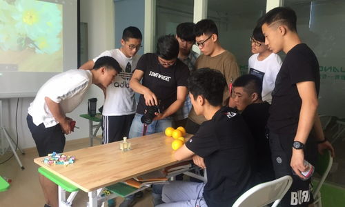 青岛创艺教育与淘学培训 教育咨询服务体验与深度解析